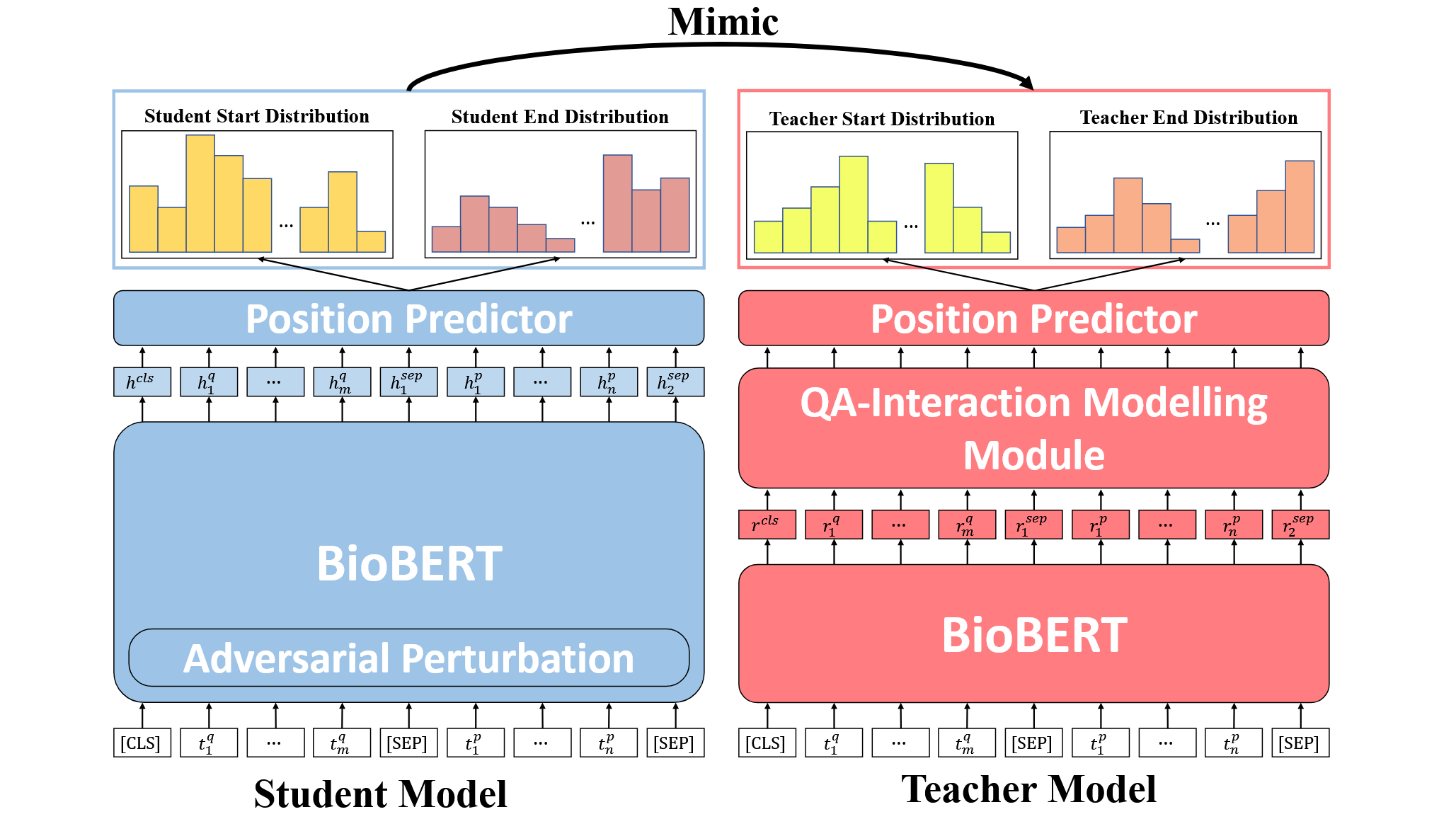 Adversarial Knowledge Distillation based Biomedical Factoid Question Answering